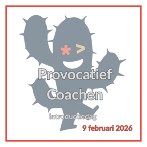 Introductie training Provocatief Coachen