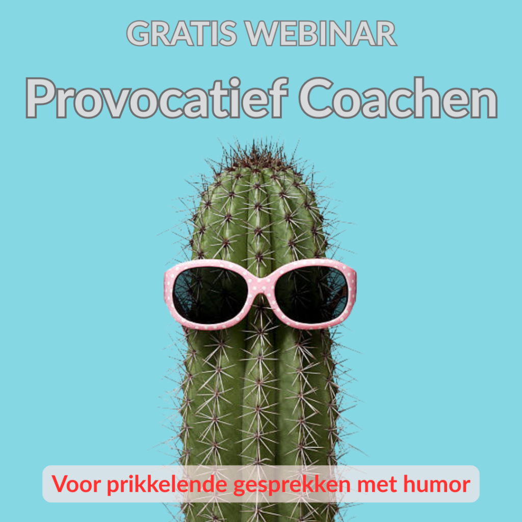 Provocatief Coachen Webinar